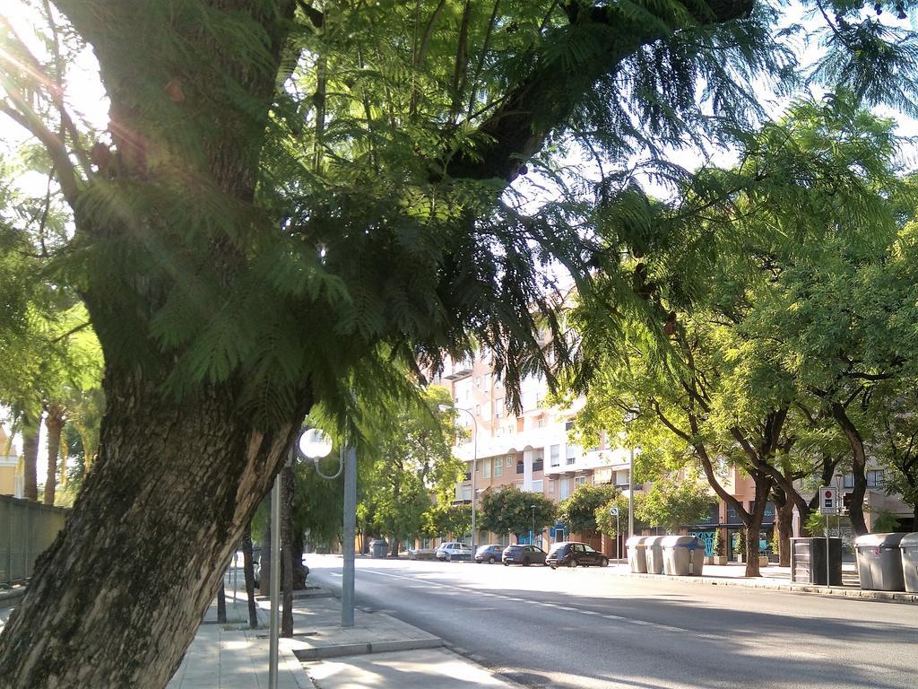 Apartamento Buhaira Sevilla Exterior foto
